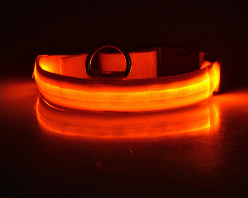 LED Glow Safety Collar – For Dogs & Cats