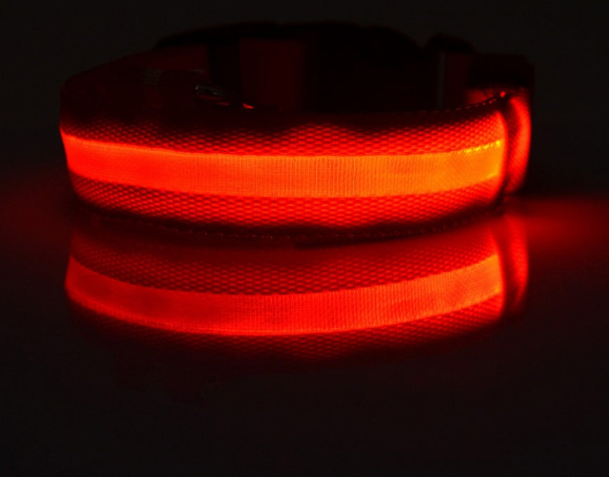 LED Glow Safety Collar – For Dogs & Cats