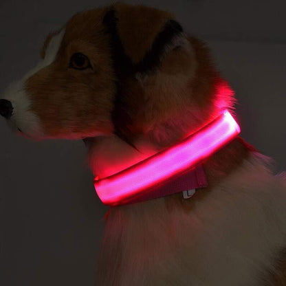 LED Glow Safety Collar – For Dogs & Cats