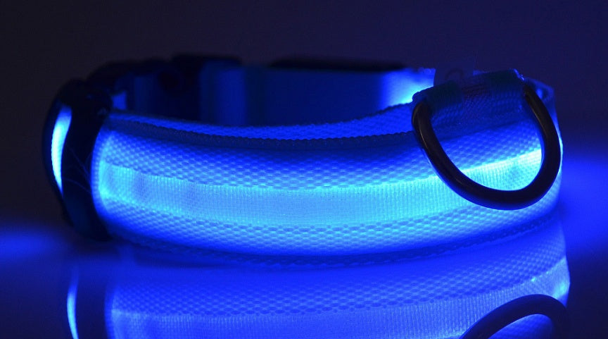 LED Glow Safety Collar – For Dogs & Cats