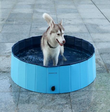 Foldable Dog Splash Pool – Fun, Portable & Super Durable